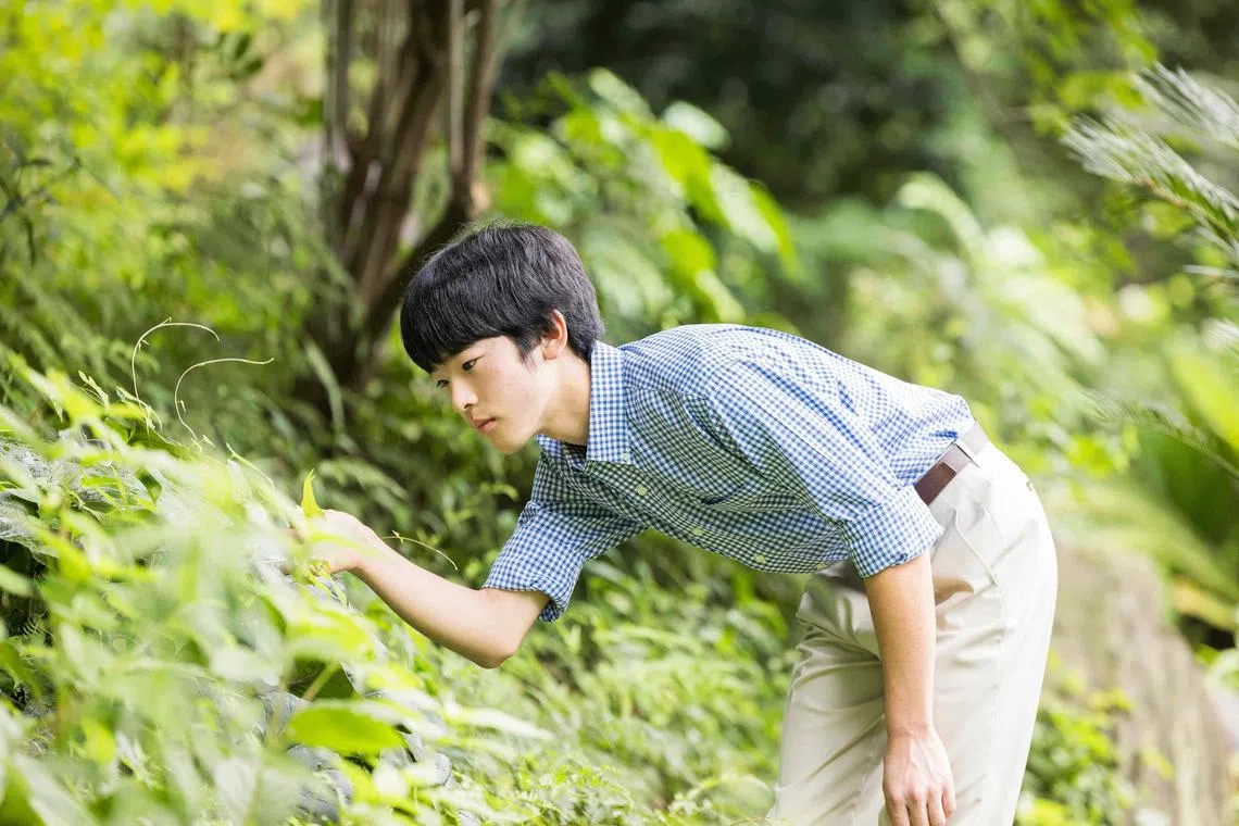 Prince Hisahito is said to be “extremely interested” in natural history.