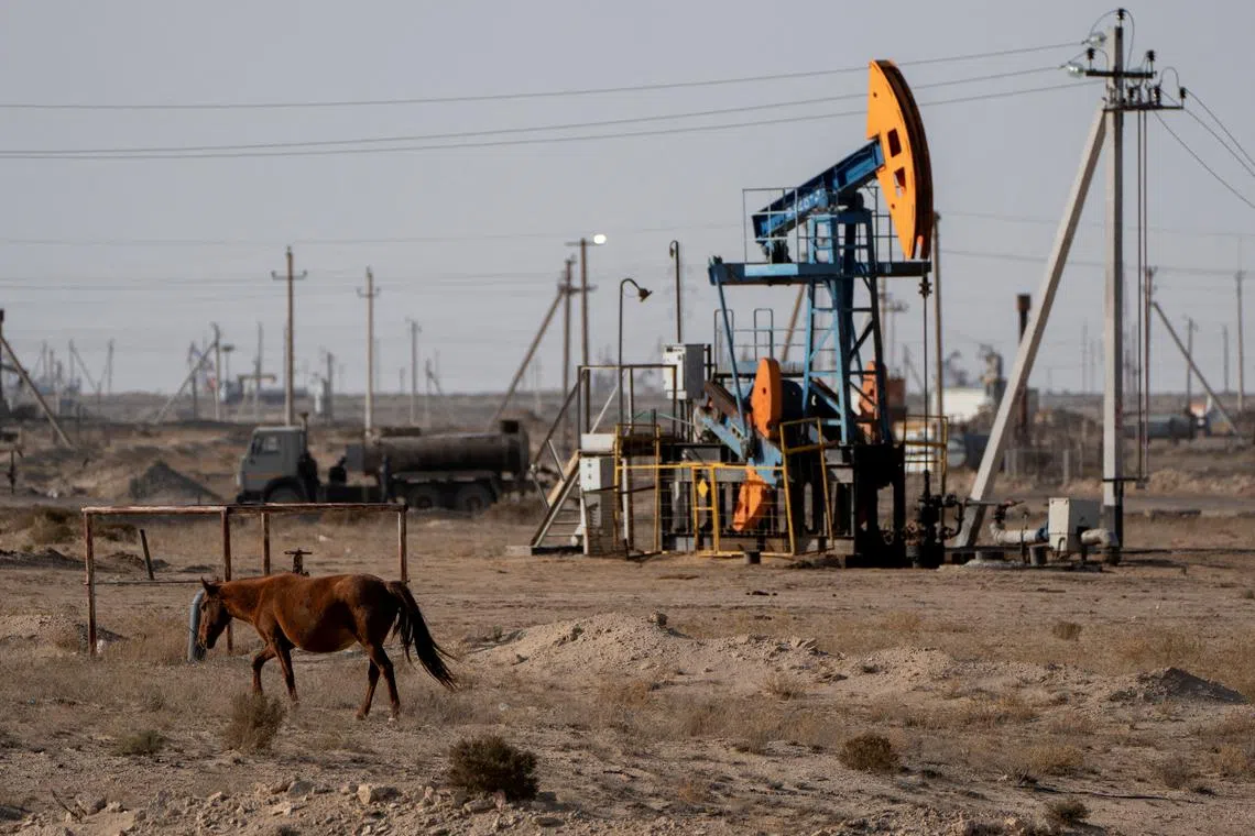 A horse grazes near an oil drilling rig  in the Mangystau region, Kazakhstan, on Nov 14, 2023.