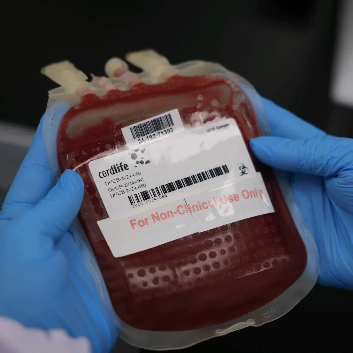 Cordlife will now be allowed only to maintain the storage of existing cord blood units.