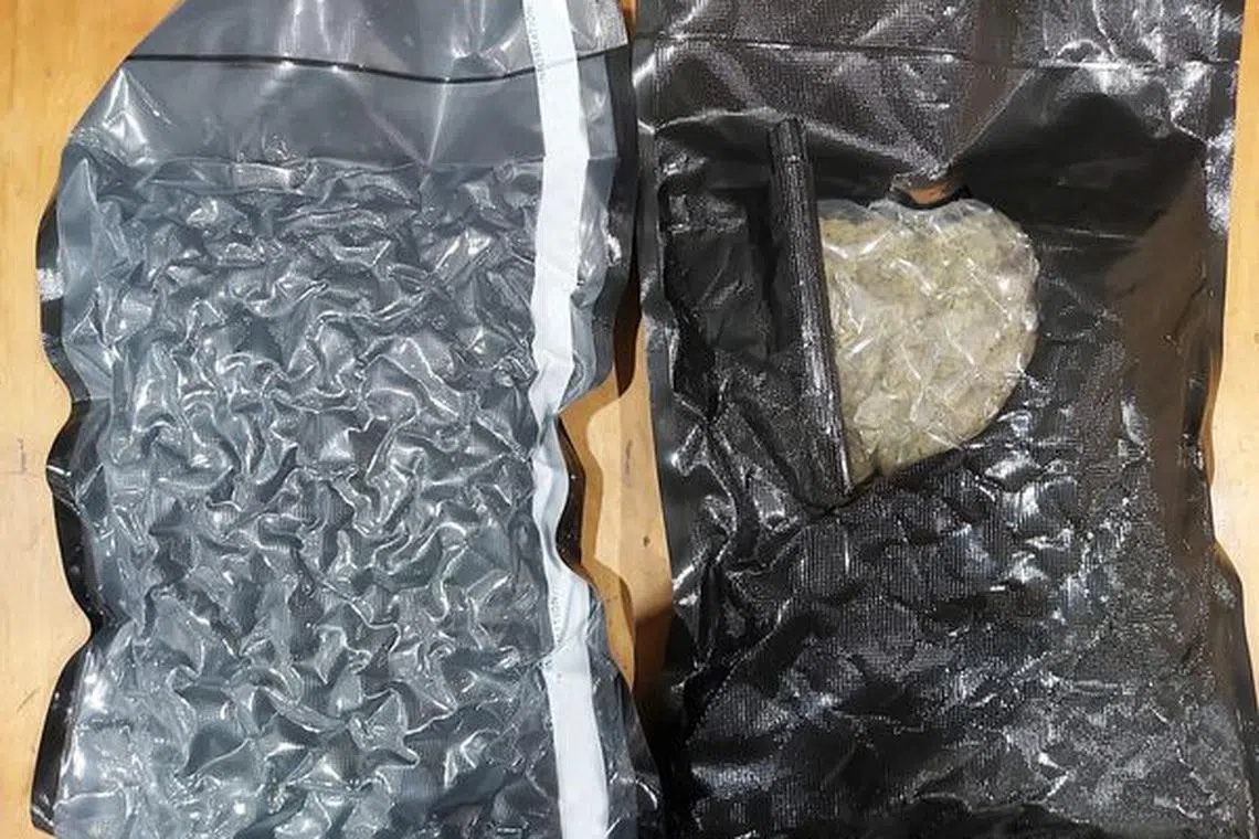 Officers at the Immigration and Checkpoints Authority uncovered two packets of vegetable substances that were vacuum-sealed. Preliminary investigations revealed that the substance was cannabis.