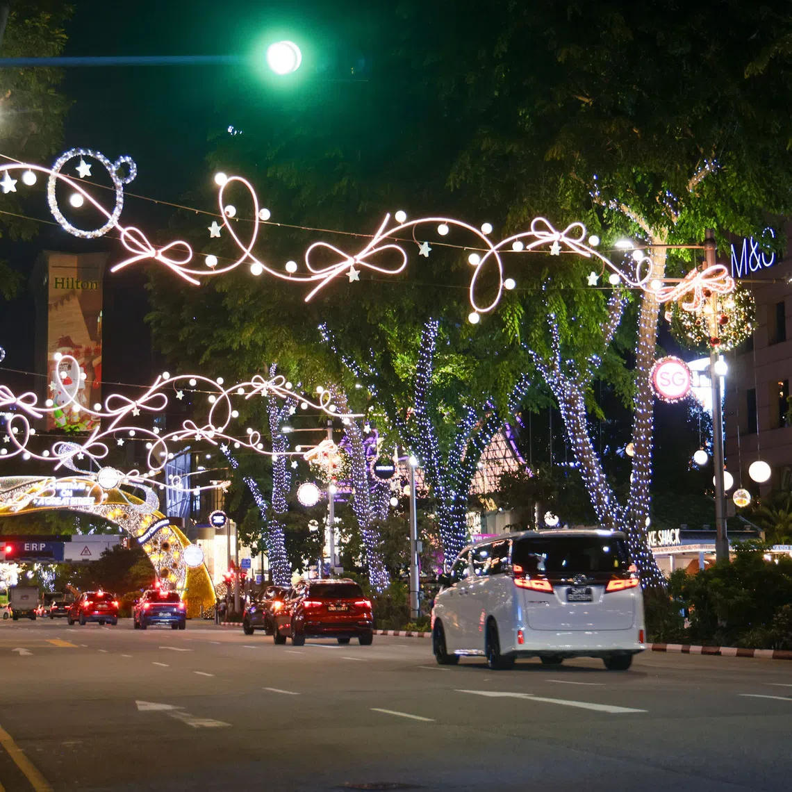 The environmental cost of festive decorations in Singapore extends beyond just the electricity bill, says the writer.
