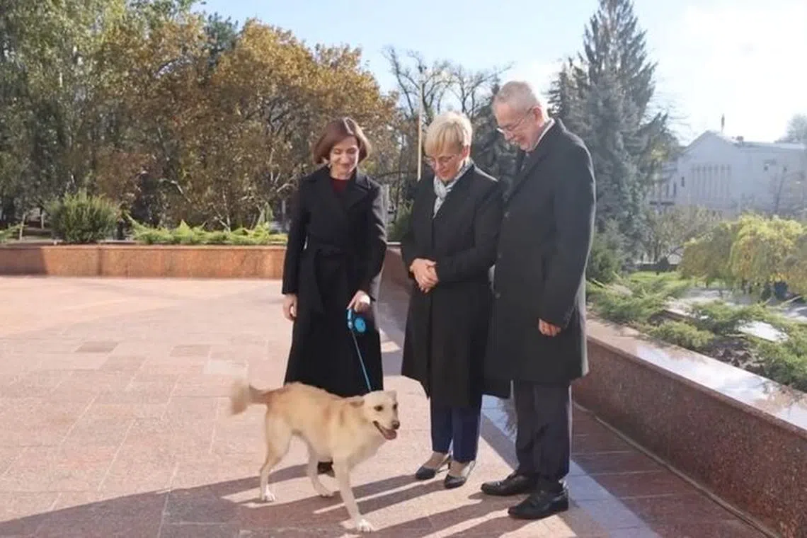 Moldova's President Maia Sandu and her dog greet Austria's President Alexander Van der Bellen and Slovenia's President Natasa Pirc Musar in Chisinau, Moldova November 16, 2023, in this handout picture. Maia Sandu via Facebook/Handout via REUTERS