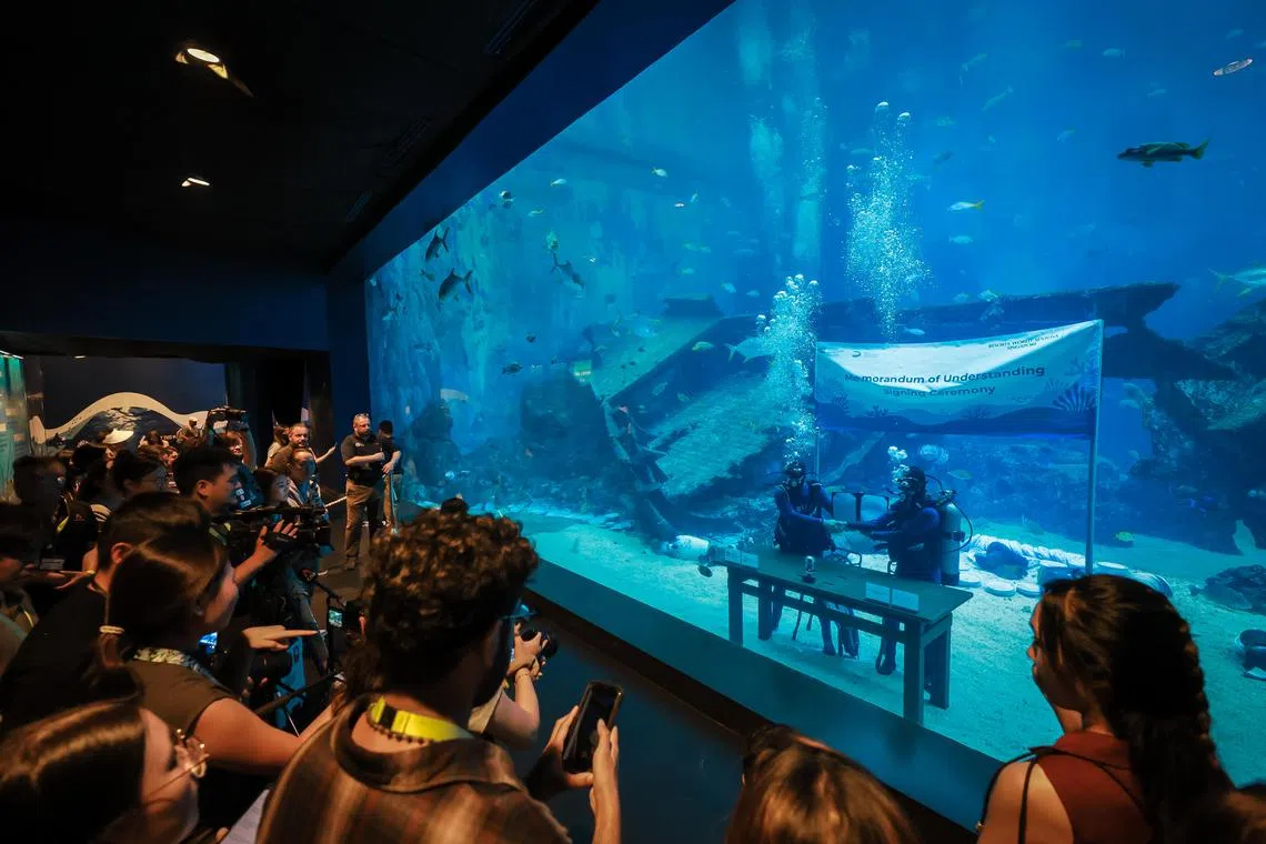 Assistant Professor Kyle Morgan from NTU’s Asian School of the Environment (left), and Abel Yeo from S.E.A. Aquarium’s Education, Research & Conservation team, signing a memorandum of understanding (MOU) underwater at the S.E.A. Aquarium’s Shipwreck Habitat on April 30, 2024.
