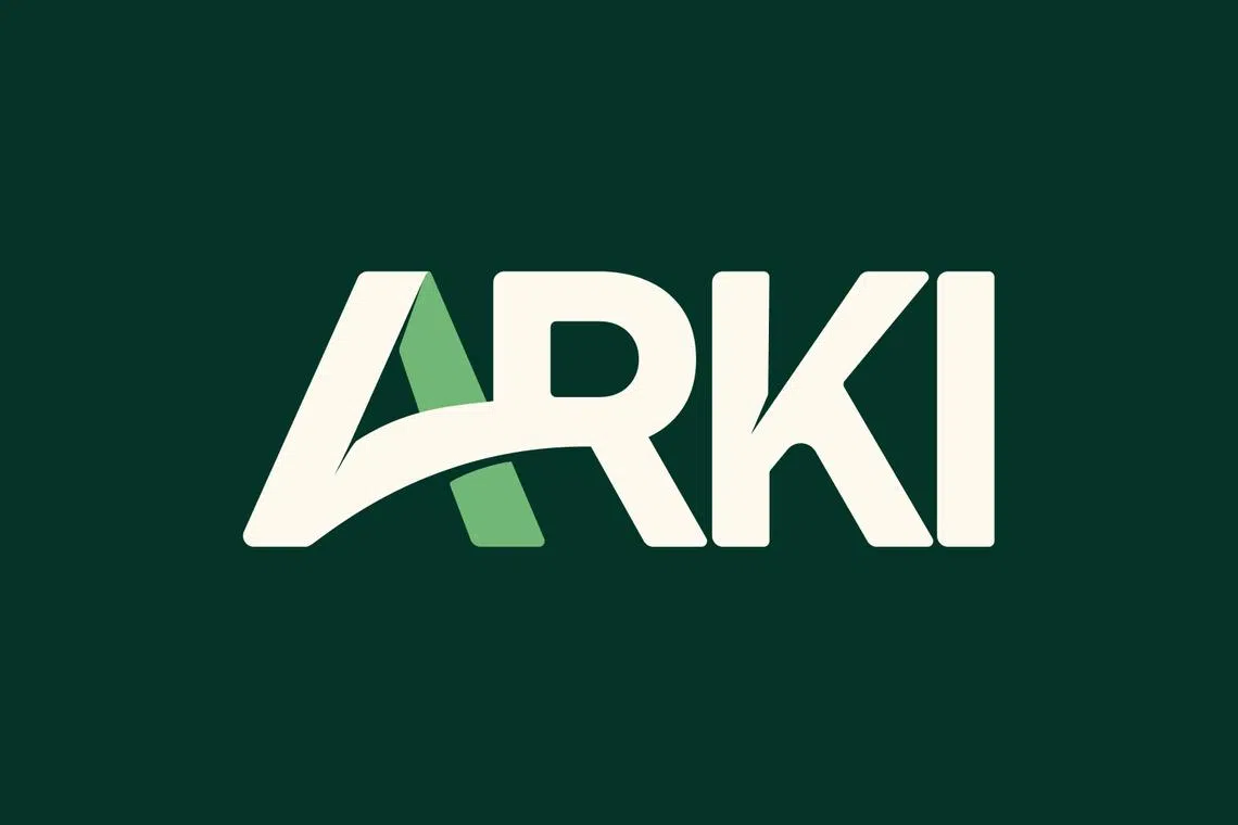 straitstimes.com - Angela Tan - S'pore fintech Arki Finance gets MAS licence to serve mass affluent investors