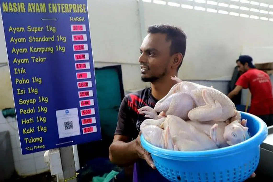Chicken seller Mohamad Nasir Abdul Kalam, 33, at Chowrasta Market.

( August 23, 2023 )

— LIM BENG TATT/The Star.