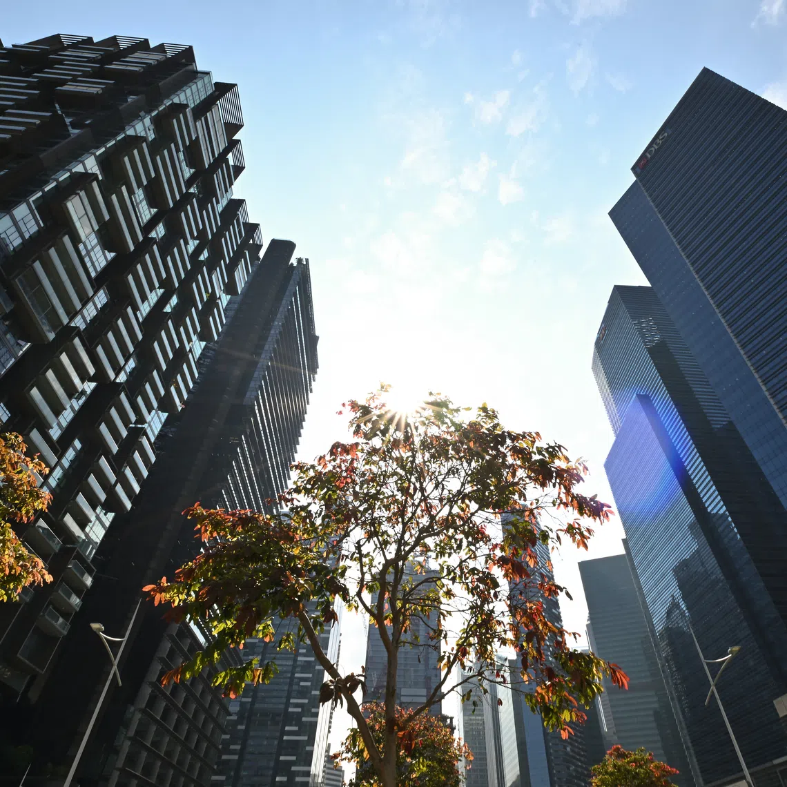 SMEs see sustainability efforts as hard to justify amid tight margins and business pressures, the report found.