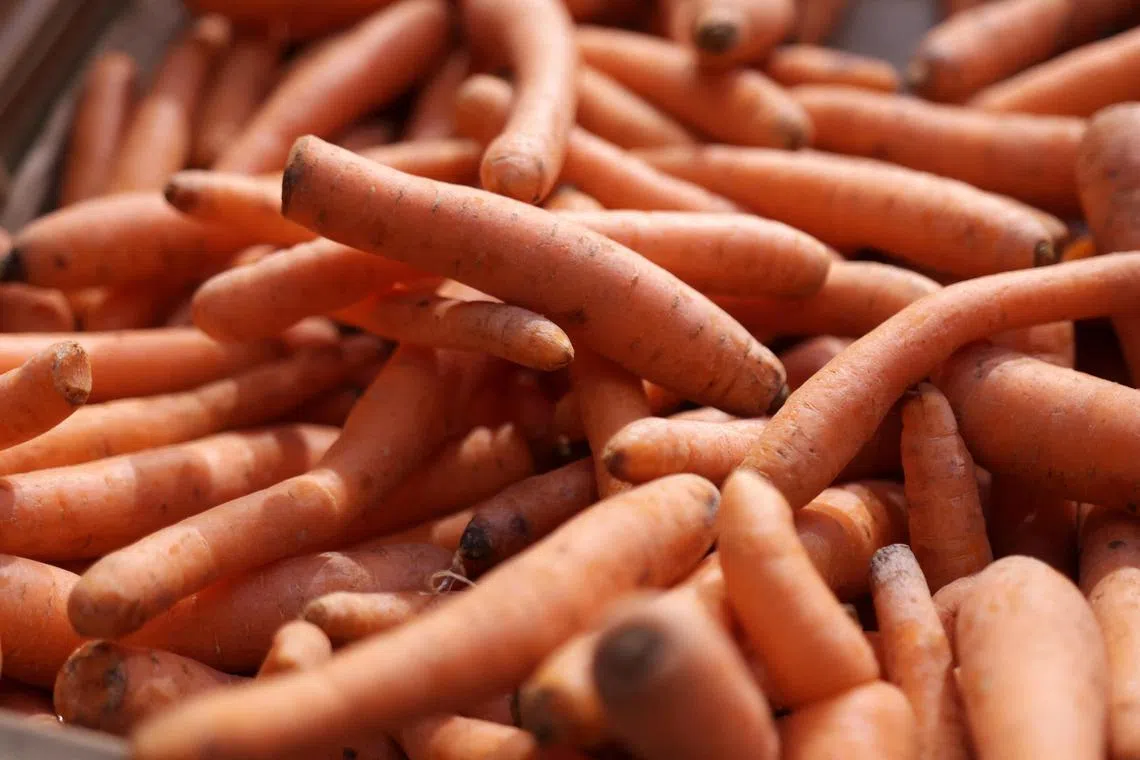 Carrots currently on store shelves are unlikely to be affected by the recall but those in consumers’ refrigerators or freezers may be, authorities said.