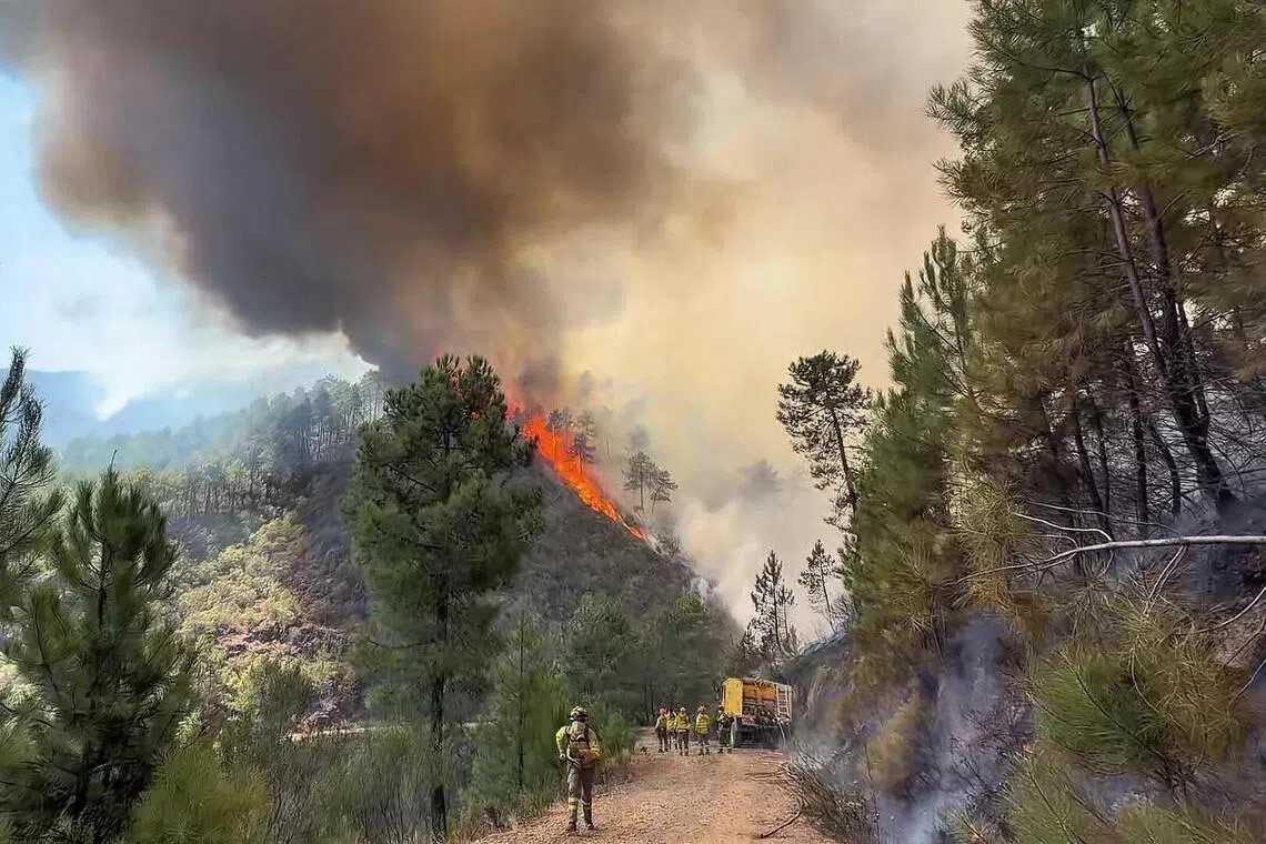 Climate change could triple area hit by European wildfires: Study