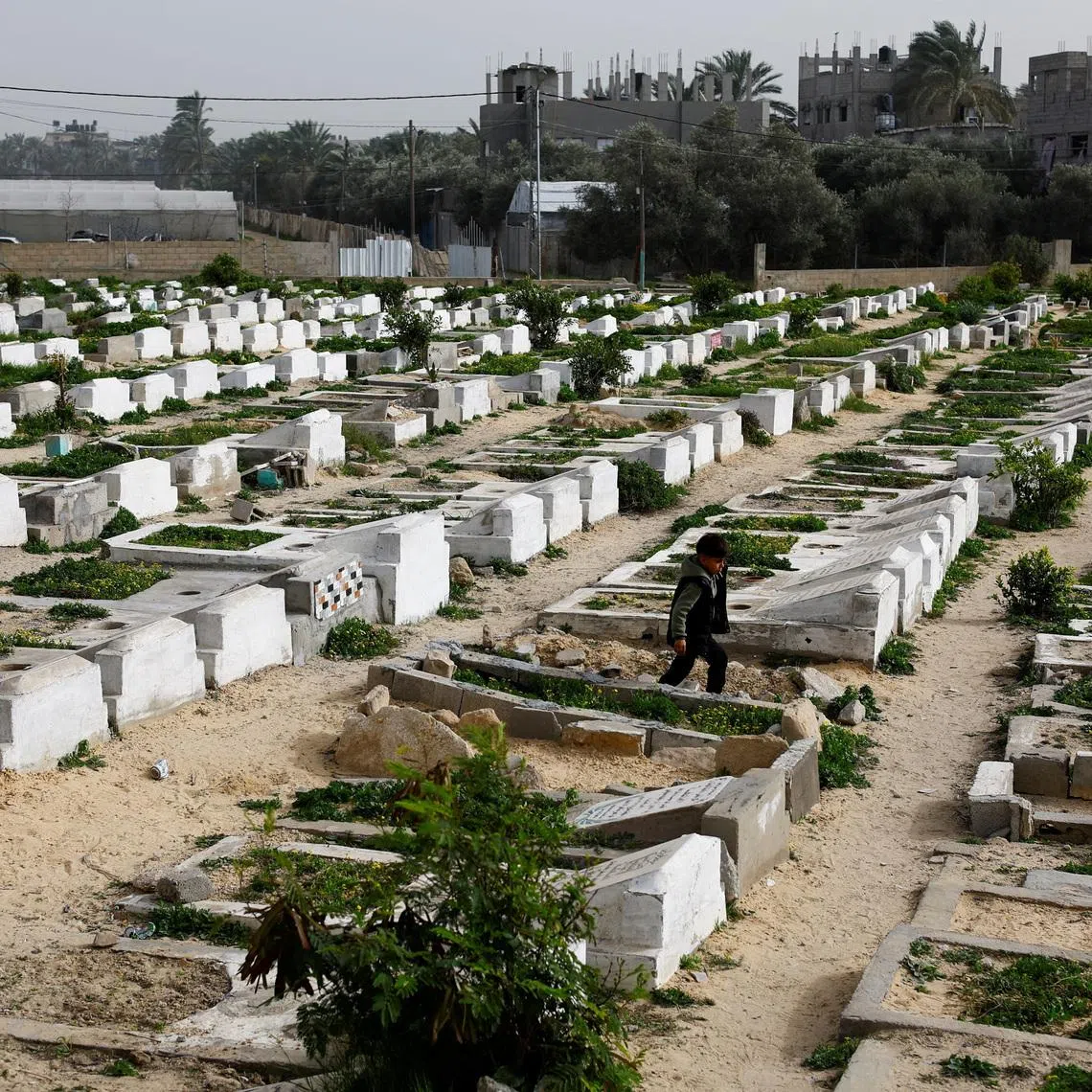 A Palestinian child walks through the cemetery with graves of some of those killed during the war, in Deir al-Balah, central Gaza Strip, January 30, 2026. REUTERS/Mahmoud Issa