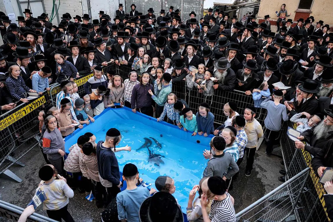 Ultra-Orthodox Jewish boys gather around a water pool containing fish as older men stand by praying in the predominantly Orthodox Jewish central Israeli city of Bnei Brak on Sept 21, as they perform the Tashlich ritual ahead of Yom Kippur.