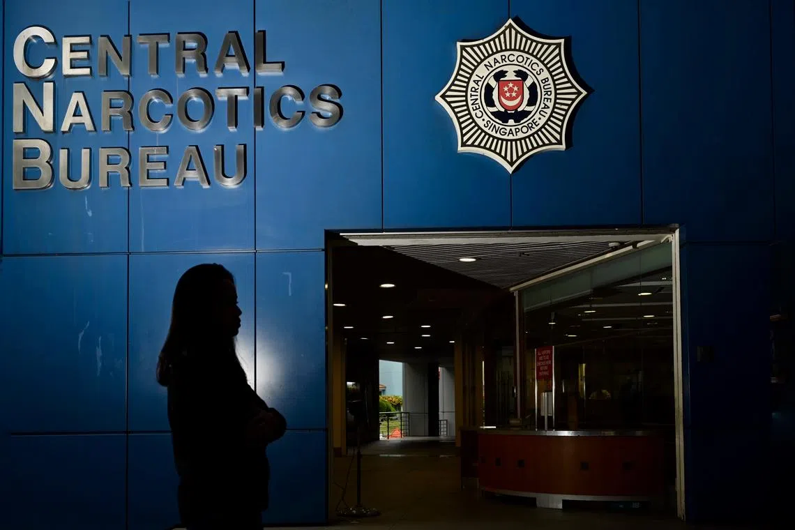 New abusers totalled 966 in 2024, higher than the 952 arrested in 2023.