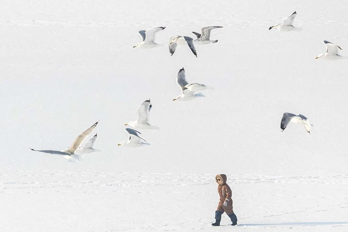 A boy walks on a frozen lake on a frosty winter day, amid Russia's attack on Ukraine, in Kyiv, Ukraine January 14, 2026. REUTERS/Vladyslav Sodel TPX IMAGES OF THE DAY