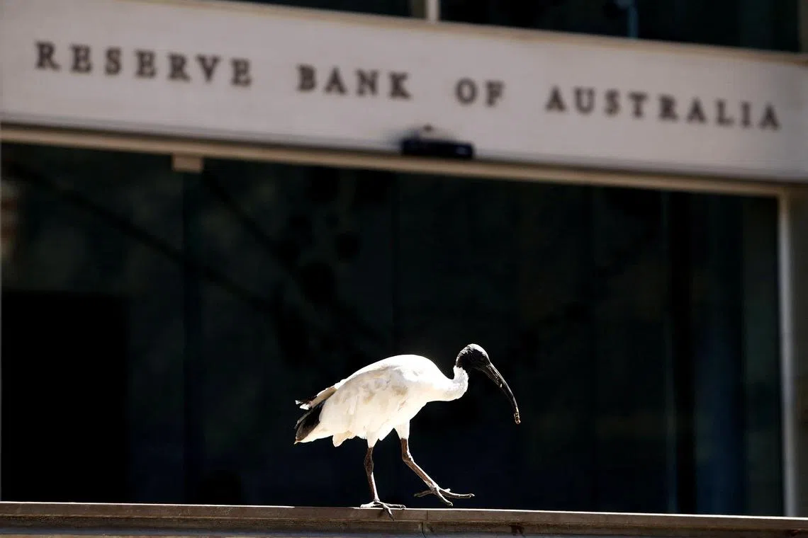 The Reserve Bank of Australia left rates unchanged at a 12-year high of 4.35 per cent at its last meeting of the year on Dec 5.