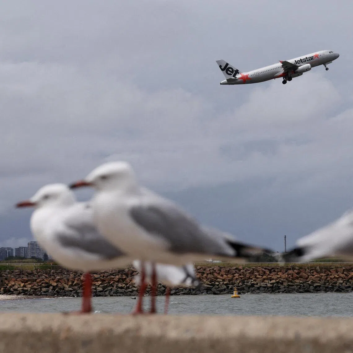Three recent near-misses at Sydney Airport have raised concerns about safety.