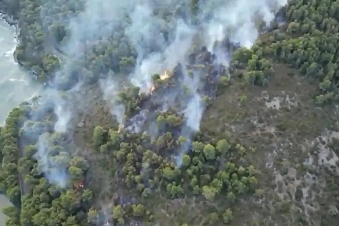 Around 1,000 tourists were evacuated after the blaze broke out in a wooded coastal area.