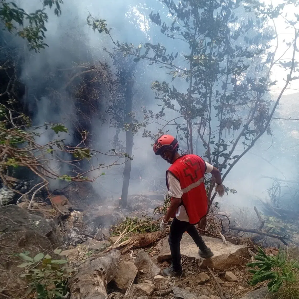 A rescue official works at the site of a tourist helicopter crash that caused multiple casualties, according to the police, in Samburu County, Kenya, August 19, 2026. Kenya Red Cross/Handout via REUTERS