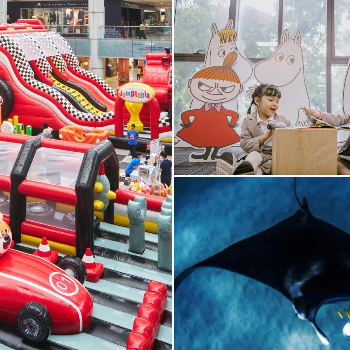 Take your kids to a racing-themed playground, a Moomin's 80th anniversary event and a guided session to learn about manta rays.