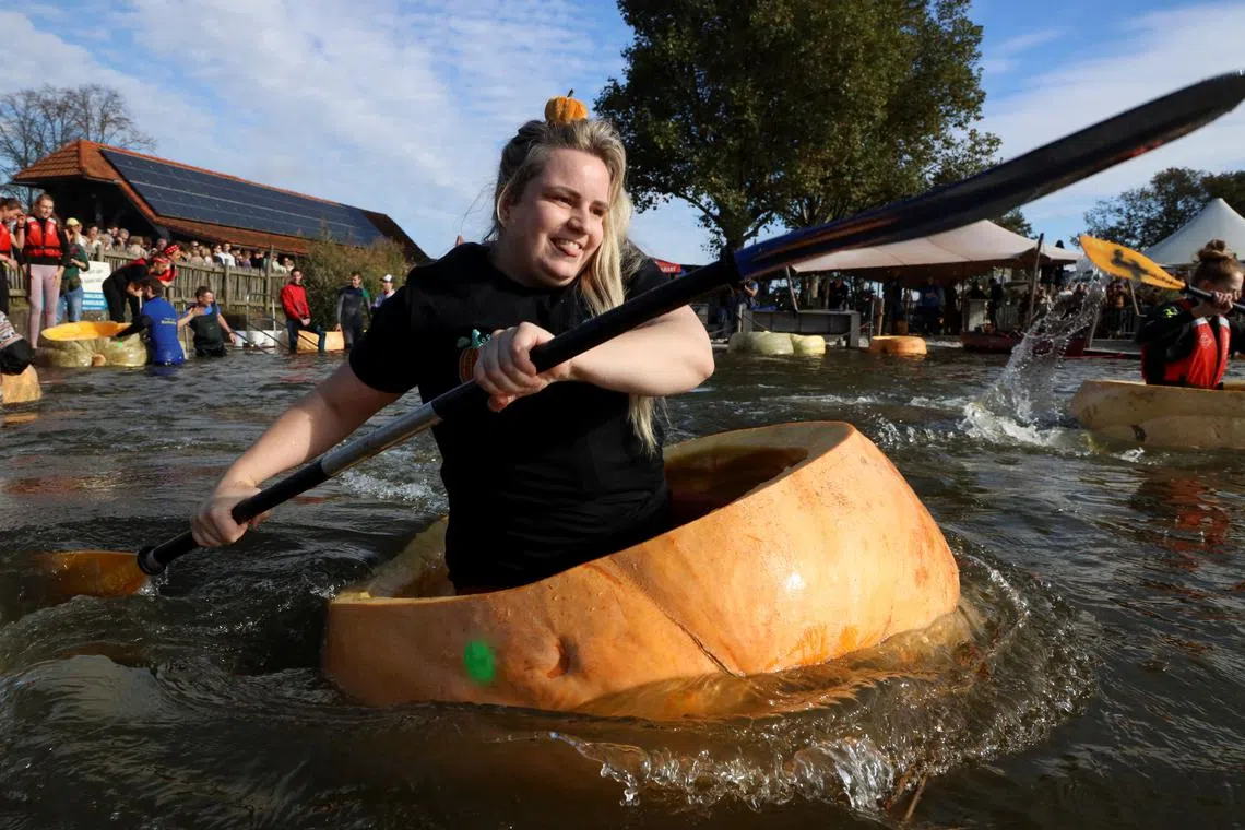 Competitors paddling in giant hollowed out pumpkins at the yearly pumpkin regatta in Kasterlee, Belgium, on Oct 27, 2024. 