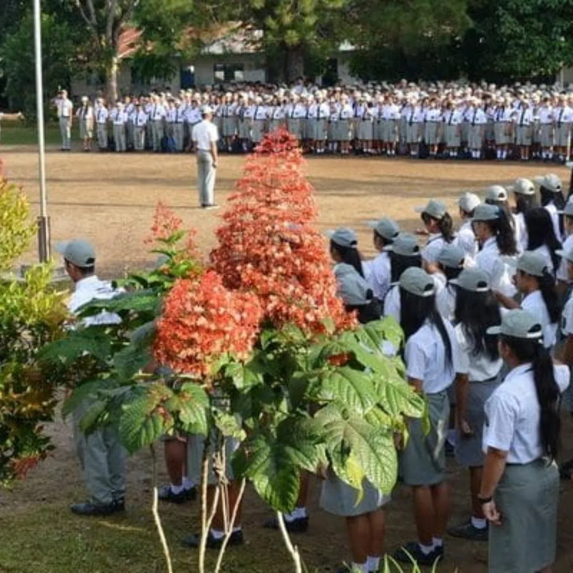 They experienced symptoms such as stomachaches, nausea, diarrhoea and shortness of breath.