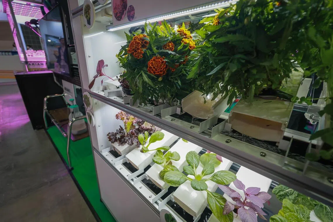 Indoor vertical farming solutions at the Arianetech booth at an agri-tech exhibition held at the Sands Expo & Convention Centre on Nov 5, 2025, as part of the Singapore International Agri-Food Week. 
