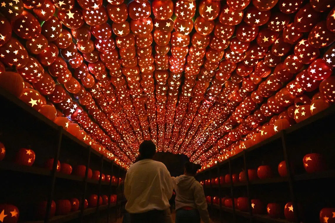 Carved pumpkins are displayed during "The Great Jack O'Lantern Blaze" in Croton-on-Hudson, New York ahead of Halloween on October 25.