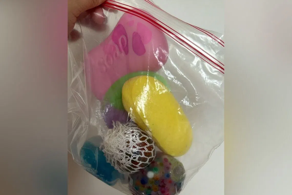 Rena Heng bagged all the squishy toys in her house after she came across reports of toxic materials used in products overseas.