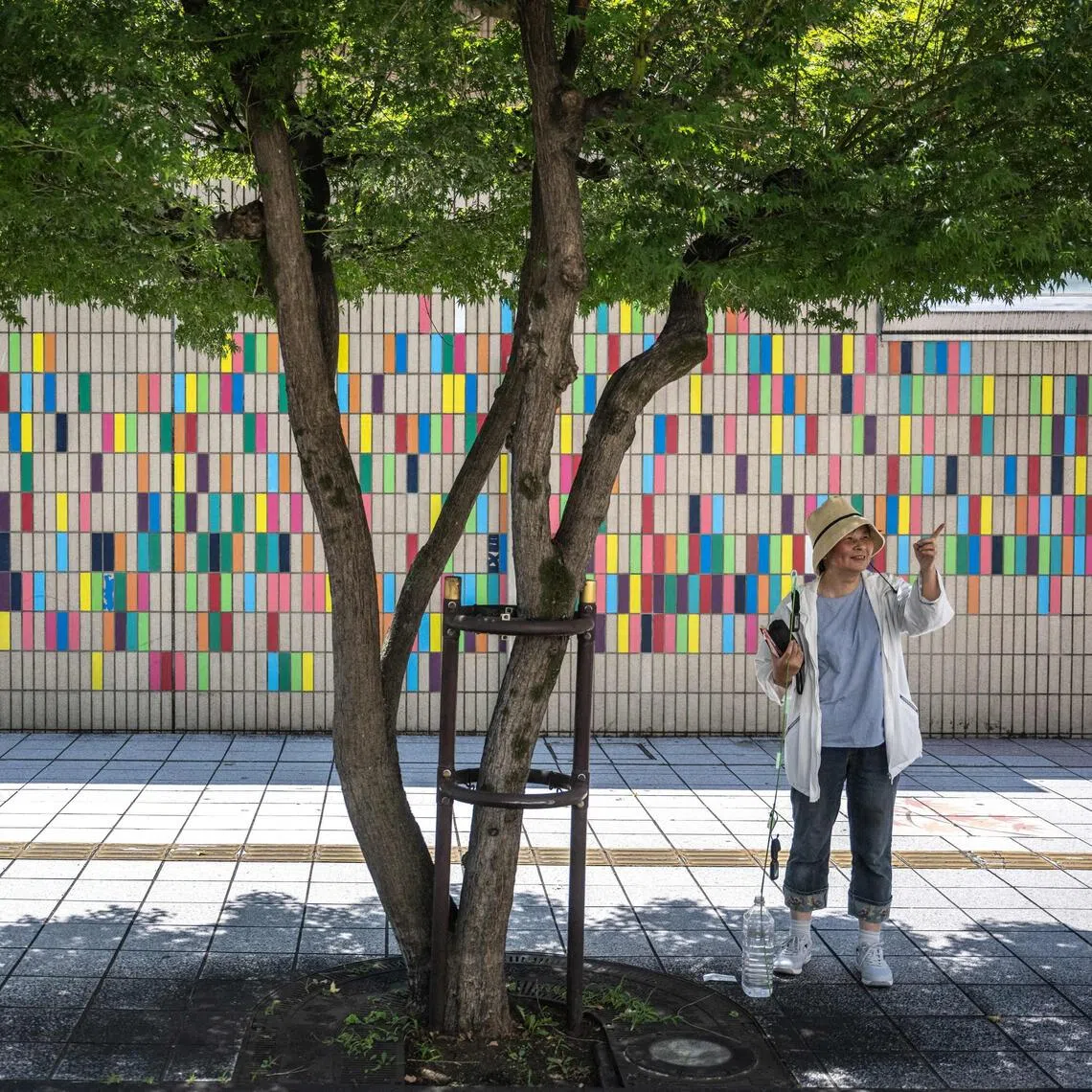 As Japan experiences ever more frequent extreme heat, tree cover that can help lower temperatures is shrinking rather than growing in Tokyo.