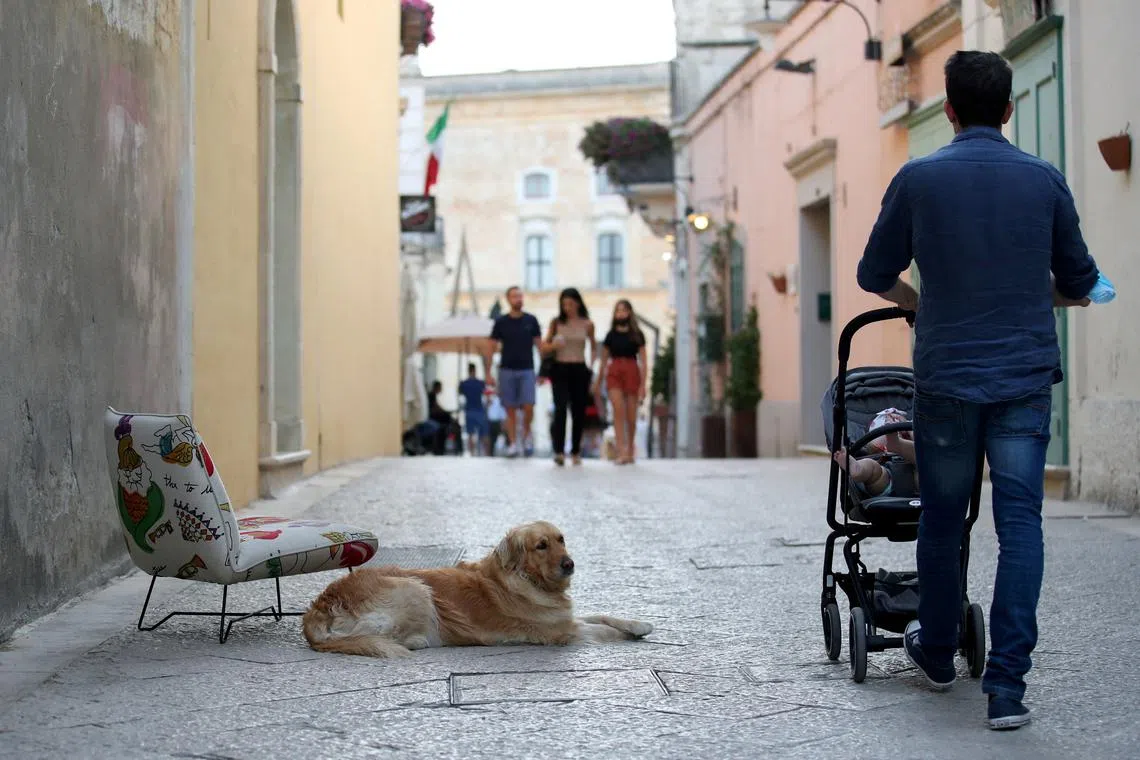 FILE PHOTO: A dog lies on the street as a man walks pushing a stroller with a baby inside, in Matera, Italy, June 29, 2021.  REUTERS/Yara Nardi/File Photo