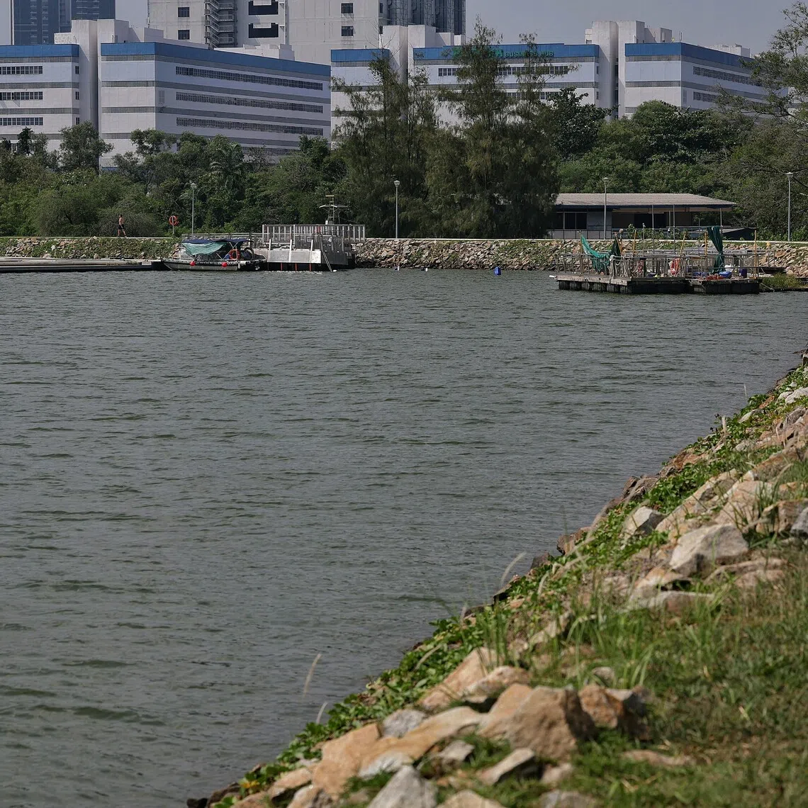 PUB said that after further investigation, it has confirmed that the photograph provided in relation to the reported crocodile sighting at Pandan Reservoir on Aug 20 was fake.