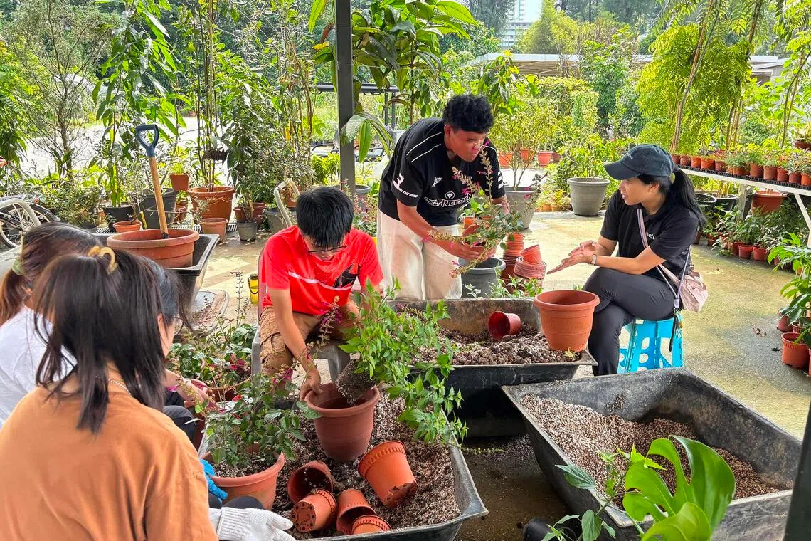 Horticulture Works and Propagation sessions are held every last Monday of the month.