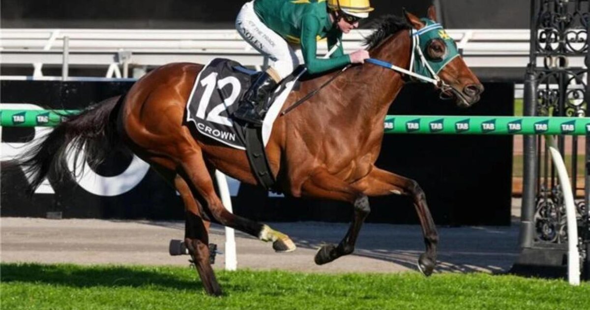 Team Sheza Alibi upbeat about Might And Power 2,000m trip | The Straits ...