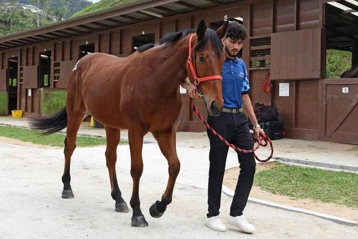 First Malaysian digital sale marks new era for regional racing