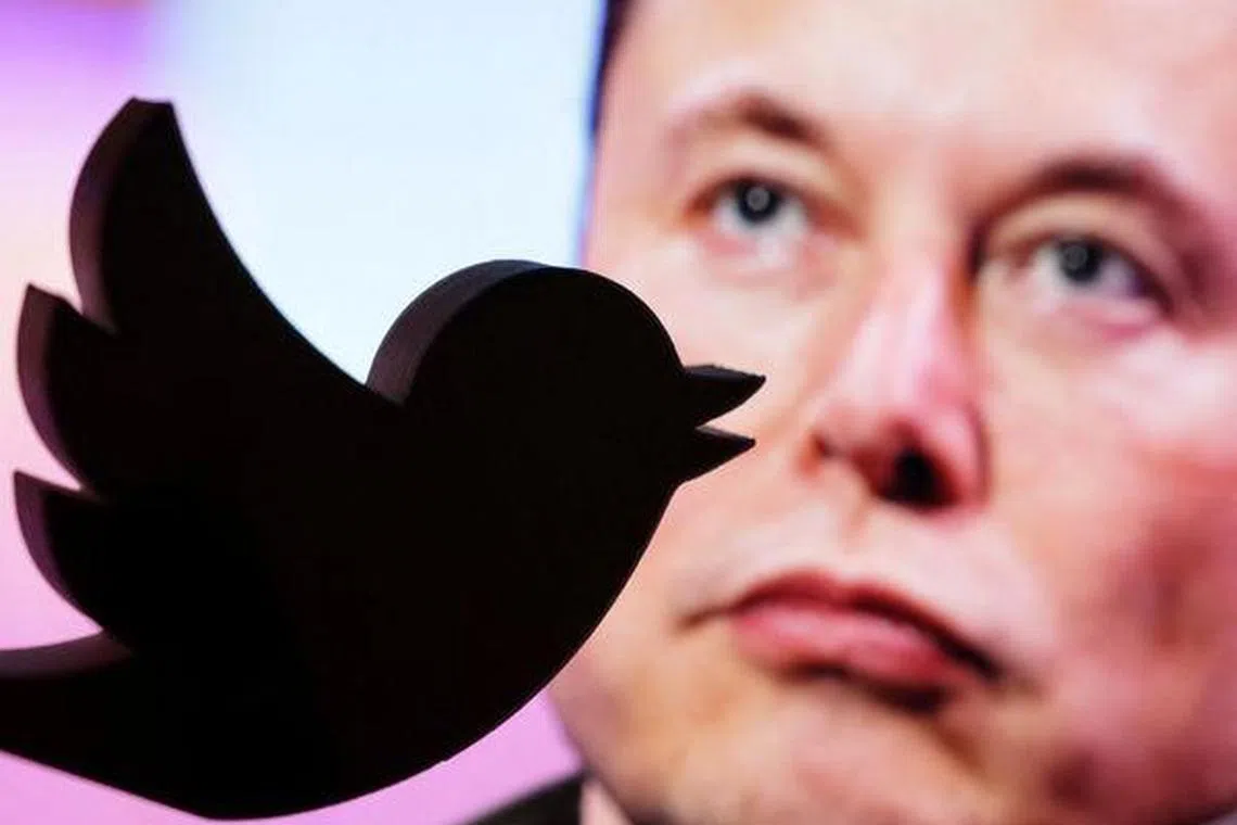 An image of the new Twitter CEO Elon Musk behind a logo of the company.