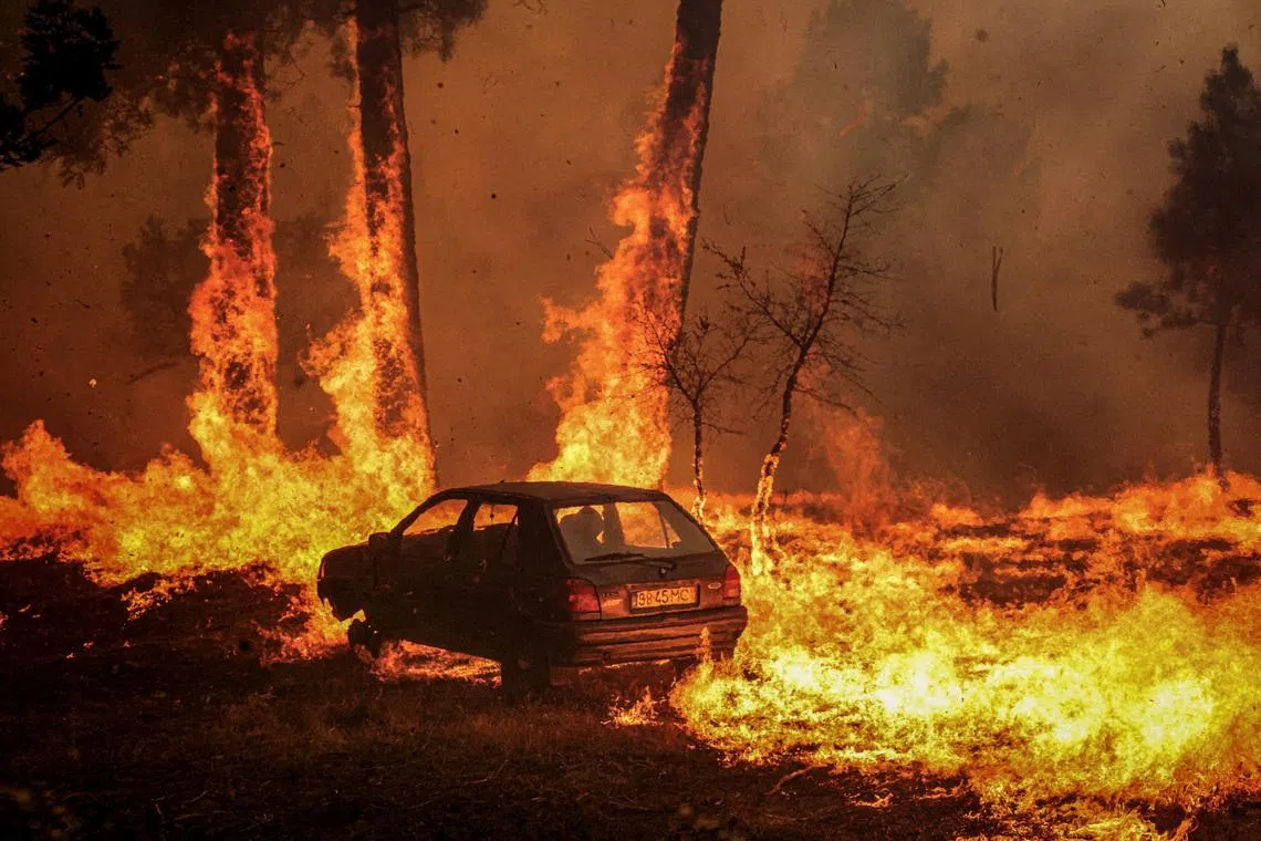 A car burns during the wildfire, in Meda, Portugal, August 15, 2025.