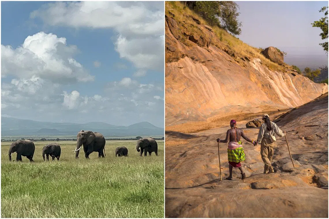 Elephants roaming Amboseli National Park and hiking with a Maasai guide along a seasonal riverbed in Kenya.