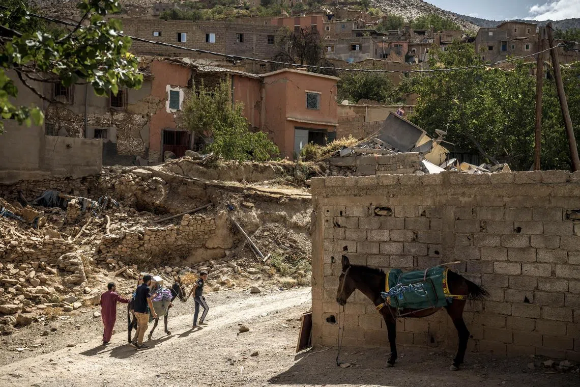 People use a donkey to transport aid to houses in Douar Tnirt, a village in the Atlas Mountains of Morocco that was hard hit by the earthquake, on Sunday, Sept. 10, 2023.  The towns and villages of the Atlas Mountains were building a thriving tourist economy, but the devastation of the earthquake puts that in doubt. (Sergey Ponomarev/The New York Times))