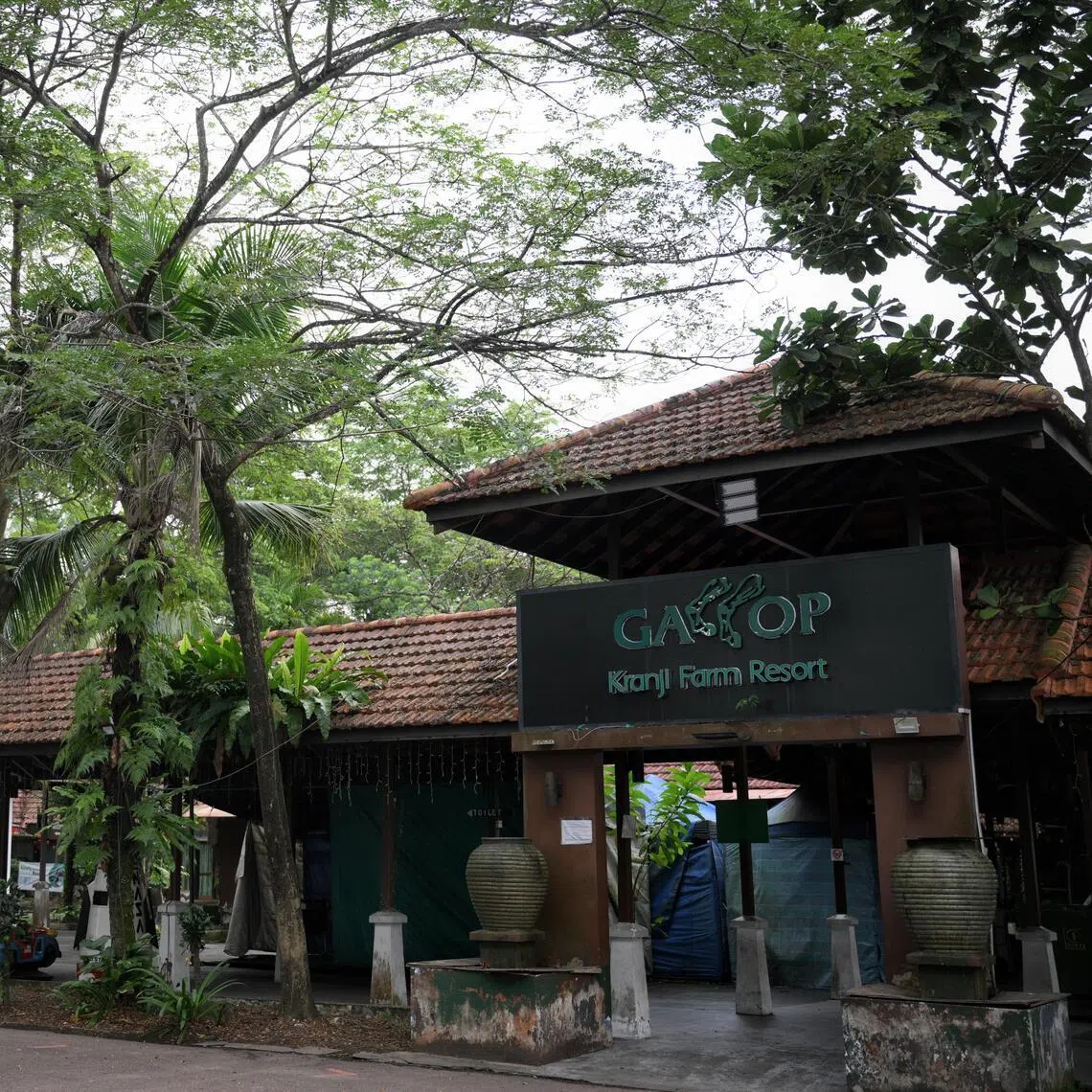 Gallop Kranji Farm Resort is among five lease-holders currently occupying the southern plots at Neo Tiew Lane and Neo Tiew Road.