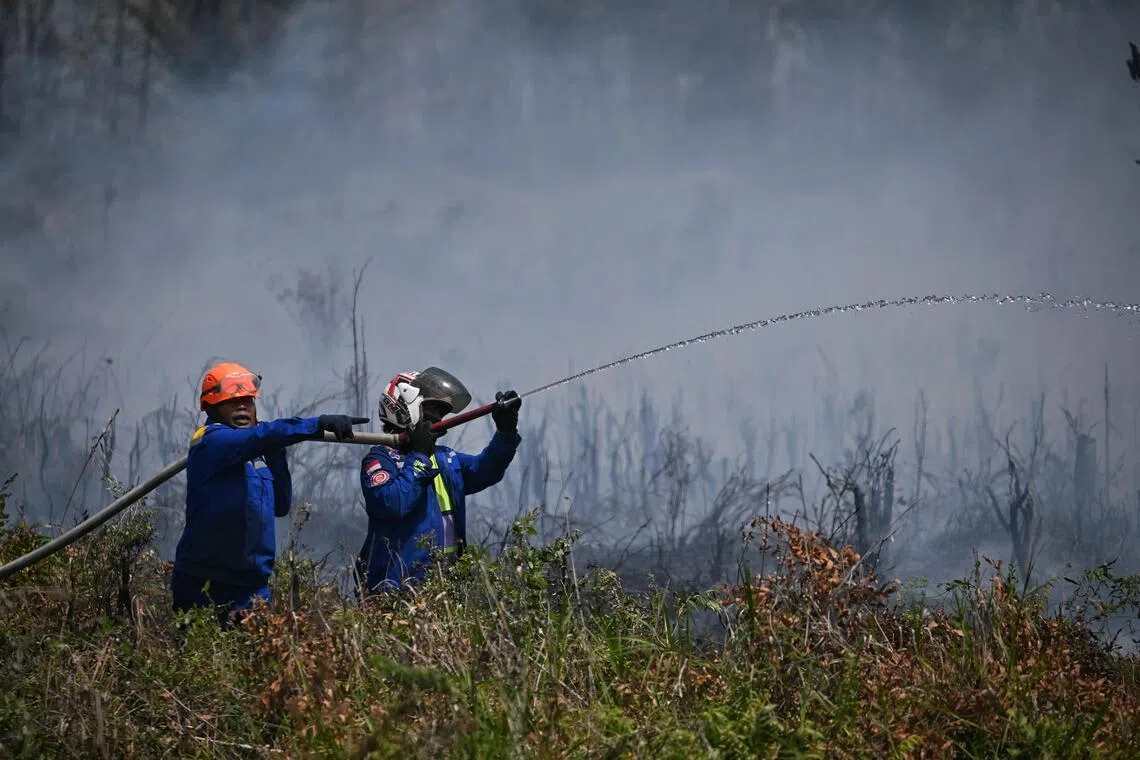 A decade after Indonesia’s worst fires, the haze is back. Why does the problem still persist?