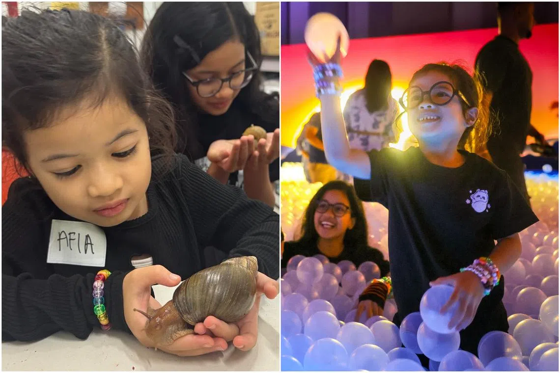 Kids enjoying close encounters with the snail at WholeSnail, Singapore's first snail farm (left), and playing in the Sunset Lagoon at Dopamine Land.