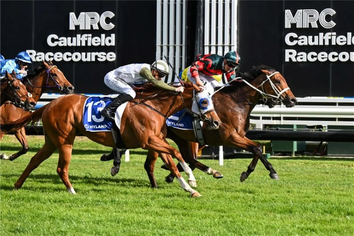 Lady Shenandoah - Lady Shenandoah

PHOTO: RACING PHOTOS