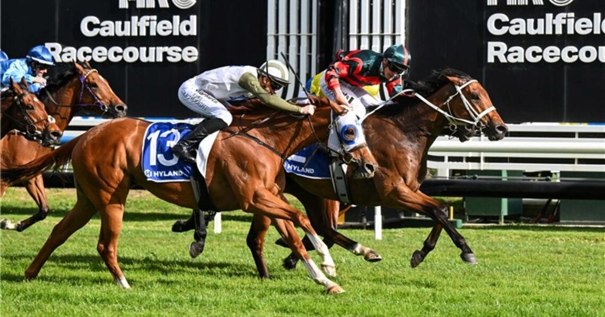 Lady Shenandoah set to reign supreme - The Straits Times
