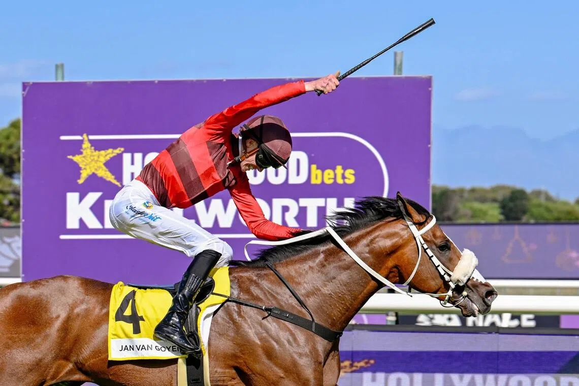 Jan Van Goyen
Caption: PHOTO:  RACE COAST