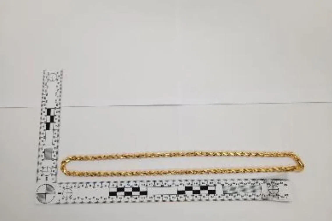 Muhammad Danial Sharuddin Muhammad Noor allegedly stole a gold chain and a gold ring from a Maxi-Cash outlet in Queen Street near Rochor Road on Saturday.