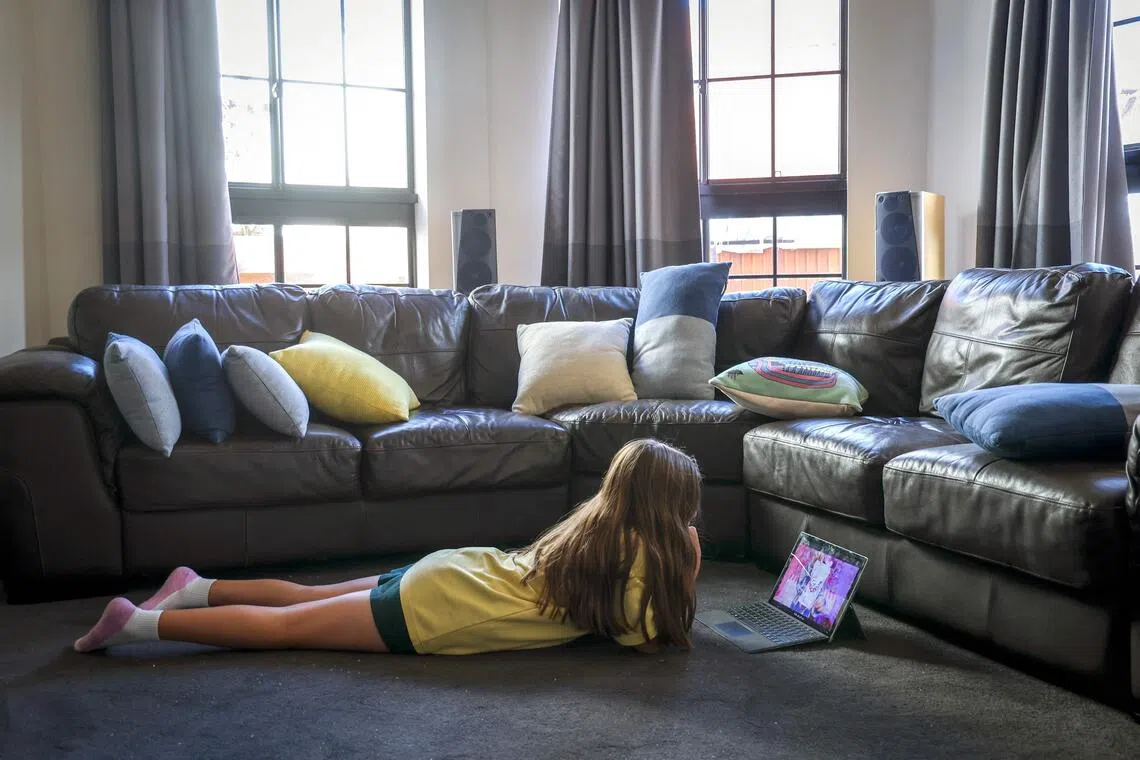 The EU council said online providers would have to assess the risk of their services being used to disseminate child sexual abuse material and take preventative measures. 