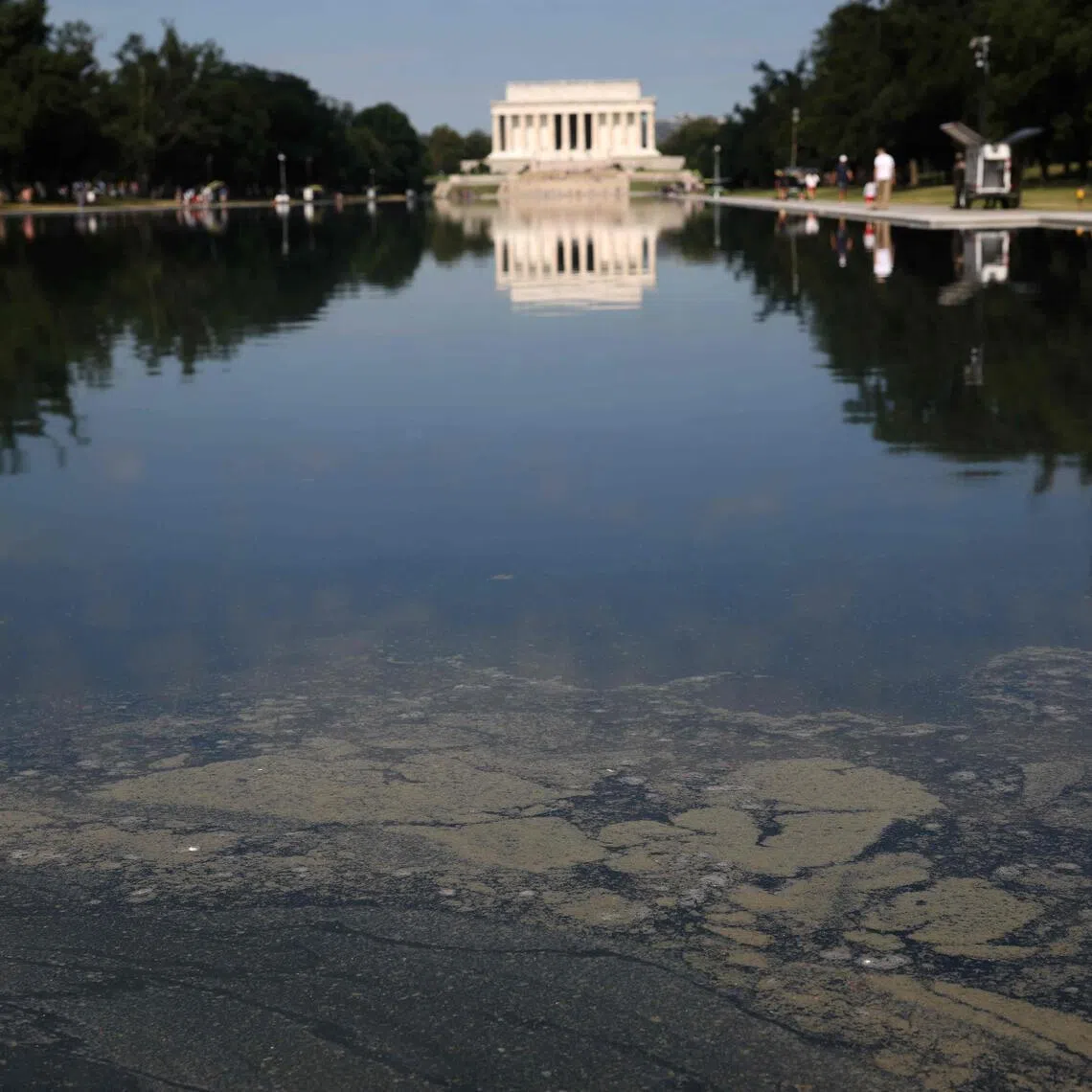 WASHINGTON, DC - JUNE 25: Algae is seen in the Lincoln Memorial Reflecting Pool on the National Mall on June 25, 2026 in Washington, DC. Workers continue to clean algae from the reflecting pool amid an increased law enforcement presence after claims made by President Trump that vandalism was the cause of the damage.   Win McNamee/Getty Images/AFP (Photo by WIN MCNAMEE / GETTY IMAGES NORTH AMERICA / Getty Images via AFP)