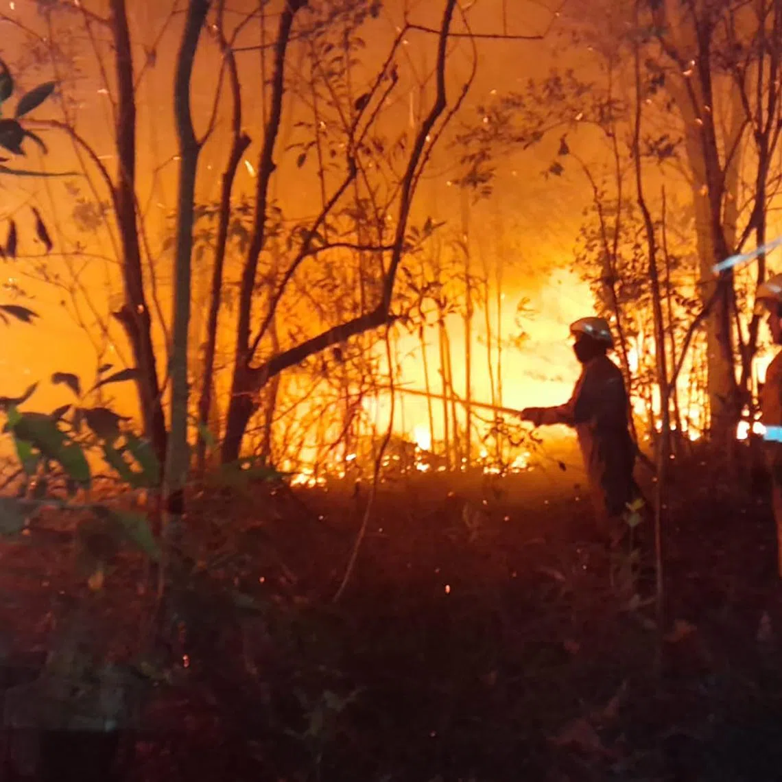 Officials in charge of forest and land firefighting are already requesting additional funds from their respective provincial coffers