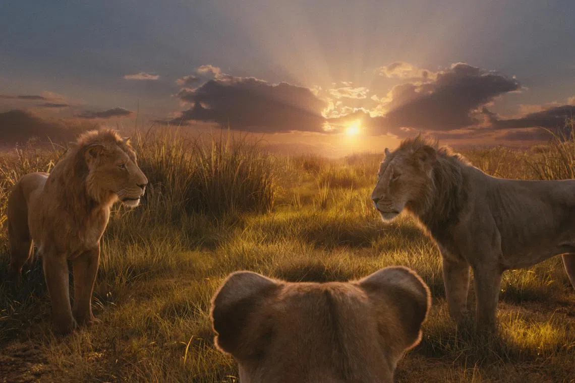jomovie18 - 10 . (L-R): Mufasa (voiced by Aaron Pierre), Eshe (Thandiwe Newton), and Taka (Kelvin Harrison Jr.) in Mufasa: The Lion King

source: The Walt Disney Company
