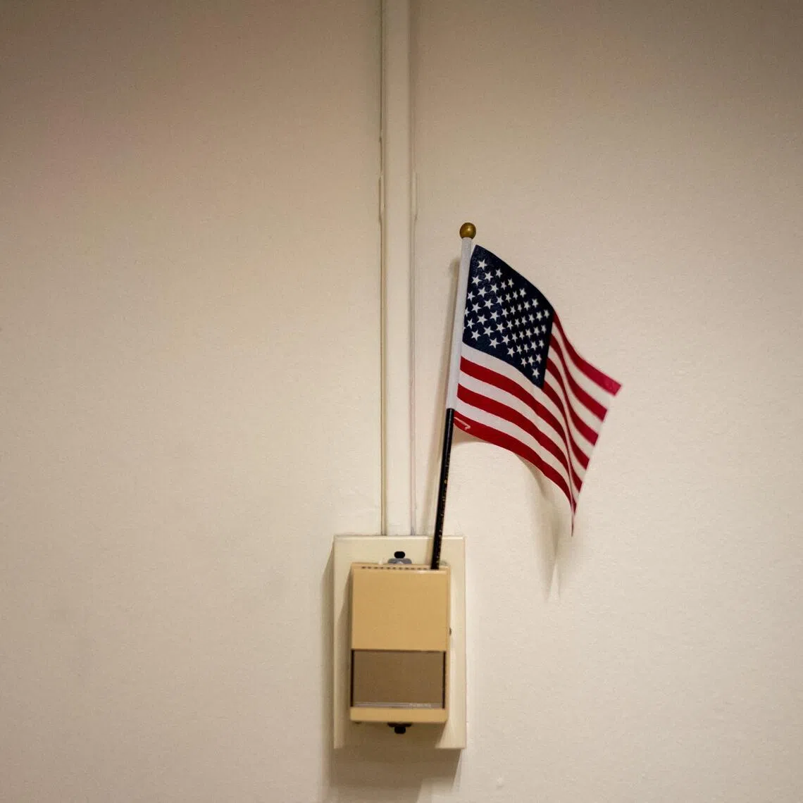 There are about 26 million naturalised Americans in the country, according to the Census Bureau.