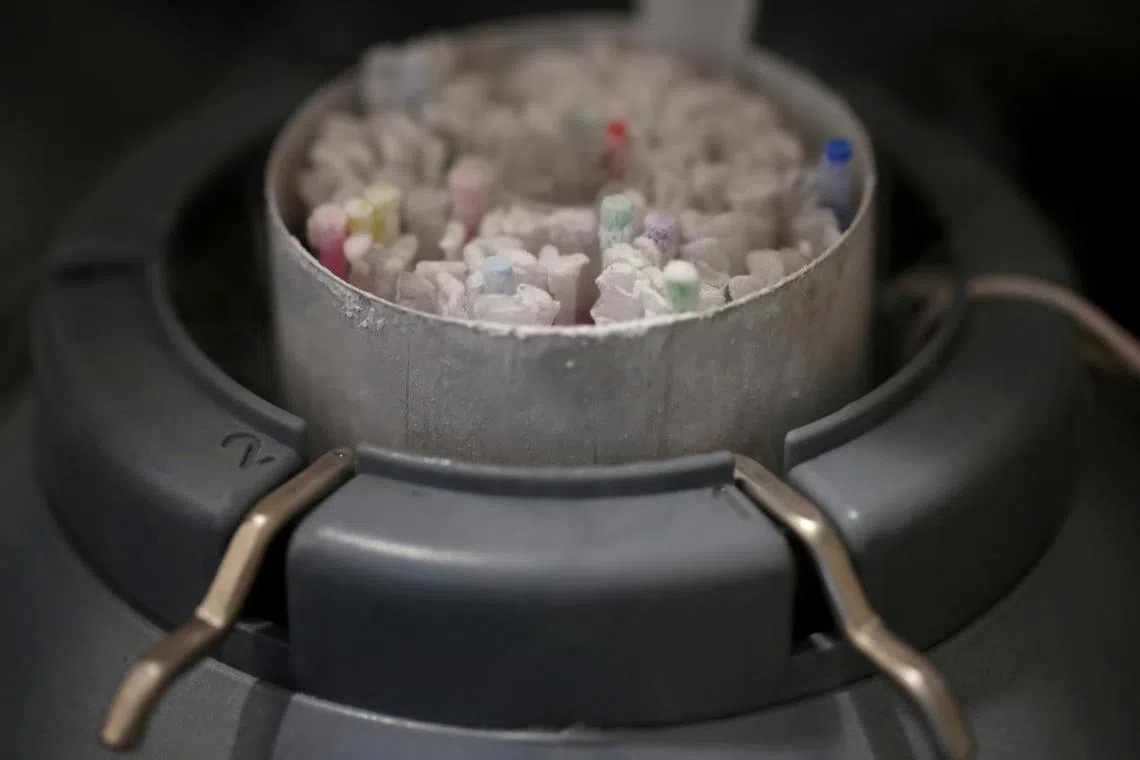 Dutch clinical guidelines say a donor should not father more than 25 children in 12 families.