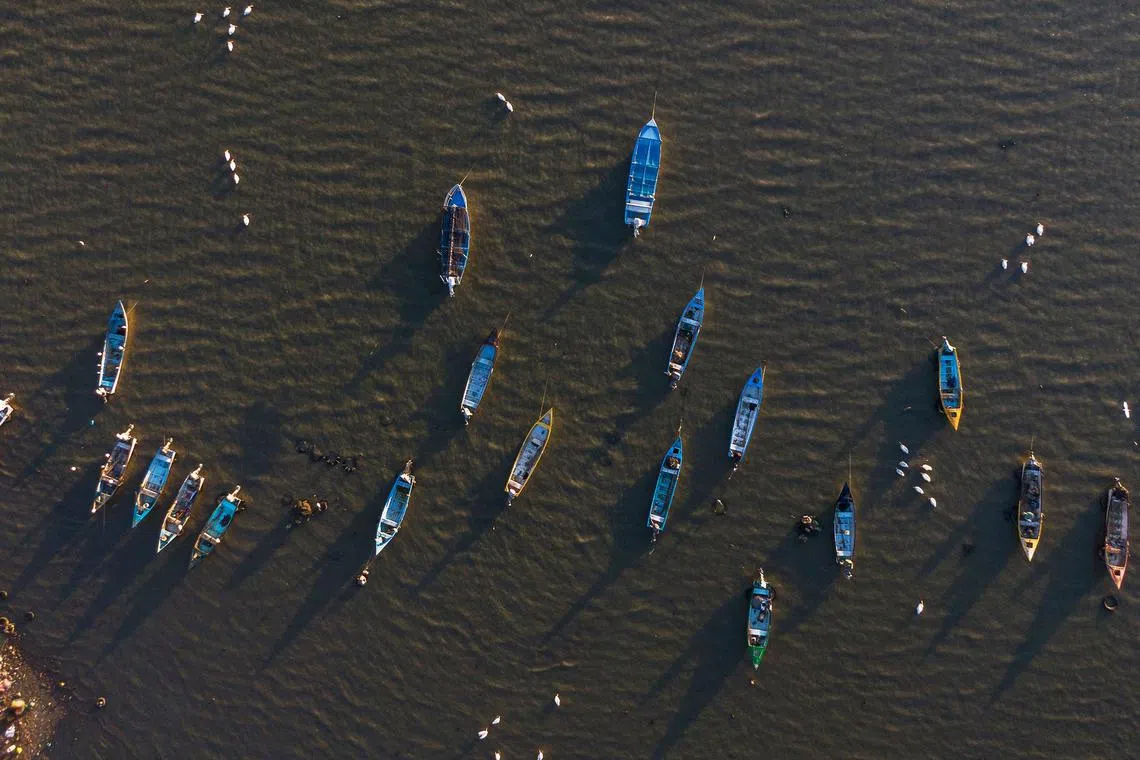 American white pelicans and fishing boats are seen on the island of Petatan in the municipality of Cojumatlan de Regules, Michoacan state, Mexico on Feb 23, 2024. 
The community welcomes the American white pelicans’ arrival, which attracts tourists from nearby towns. 